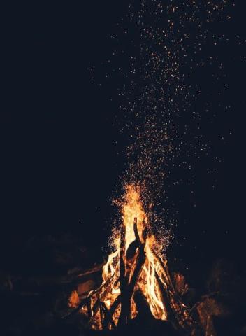 Speelplein: De Poel trotseert de natuur(elementen) © unsplash