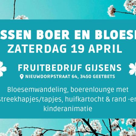 Tussen boer en bloesem © Tussen boer en bloesem